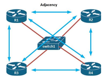 Um diagrama de rede mostrando quatro roteadores, R1 a R4, interconectados através de um switch central rotulado como 'switch1'. Há linhas azuis que representam as adjacências entre os roteadores e o switch, indicando caminhos de comunicação bidirecionais. A palavra 'Adjacency' está escrita acima, apontando para as linhas que ligam R1 a R2, ilustrando o conceito de vizinhança na rede.